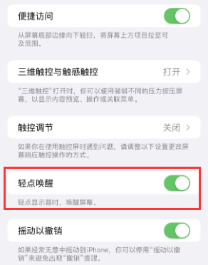 昌洒镇苹果授权维修站分享iPhone轻点无法唤醒怎么办 