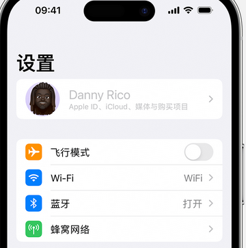 昌洒镇appleID维修服务iPhone设置中Apple ID显示为灰色无法使用