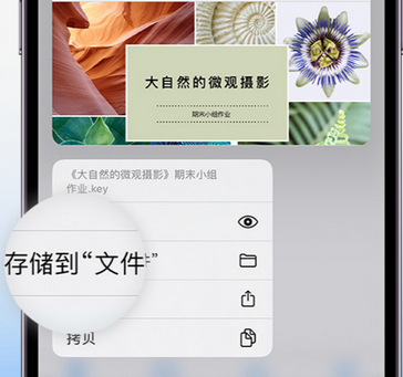 昌洒镇apple维修中心分享iPhone文件应用中存储和找到下载文件