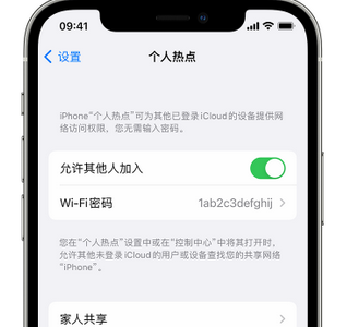 昌洒镇apple服务站点分享iPhone上个人热点丢失了怎么办 