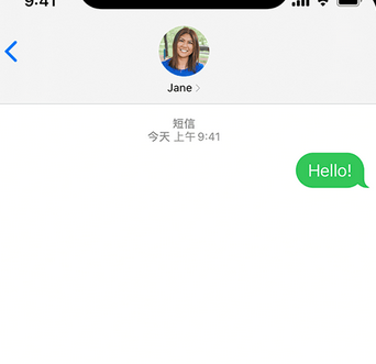 昌洒镇apple维修iPhone上无法正常发送iMessage信息