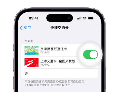 昌洒镇apple维修点分享iPhone上更换Apple Pay快捷交通卡手绘卡面 