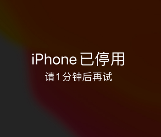 昌洒镇苹果手机维修分享:iPhone 显示“不可用”或“已停用”怎么办？还能保留数据吗？ 