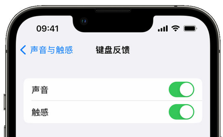 昌洒镇苹果手机维修分享iPhone 14触感键盘使用方法 