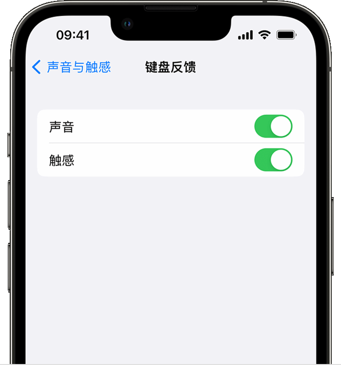 昌洒镇苹果14维修店分享如何在 iPhone 14 机型中使用触感键盘 