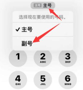 昌洒镇苹果14维修店分享iPhone 14 Pro Max使用副卡打电话的方法 