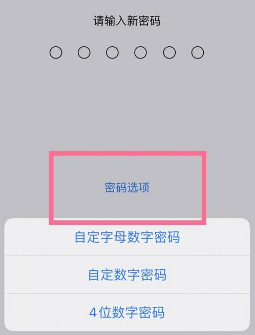 昌洒镇苹果14维修分享iPhone 14plus设置密码的方法 