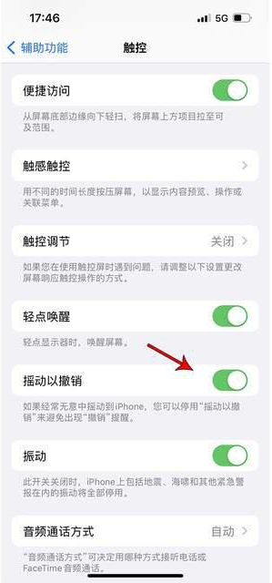 昌洒镇苹果手机维修分享iPhone手机如何设置摇一摇删除文字 